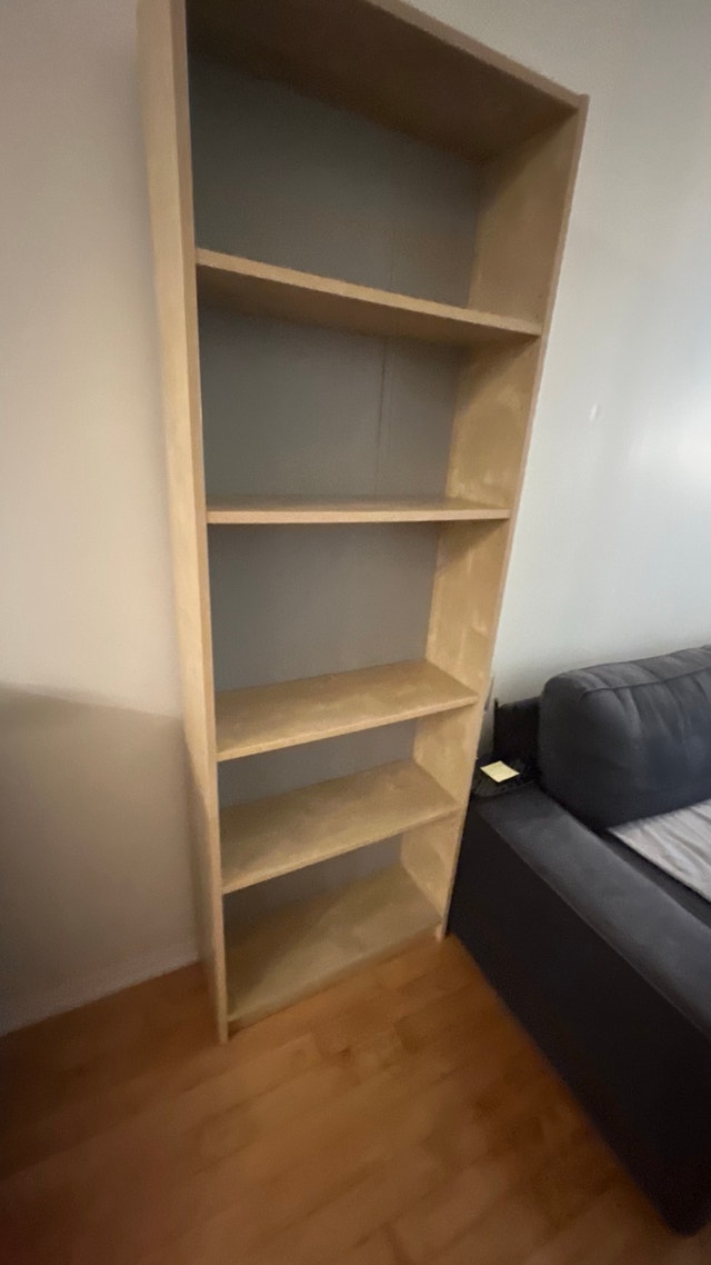 IKEA BILLY bookcase