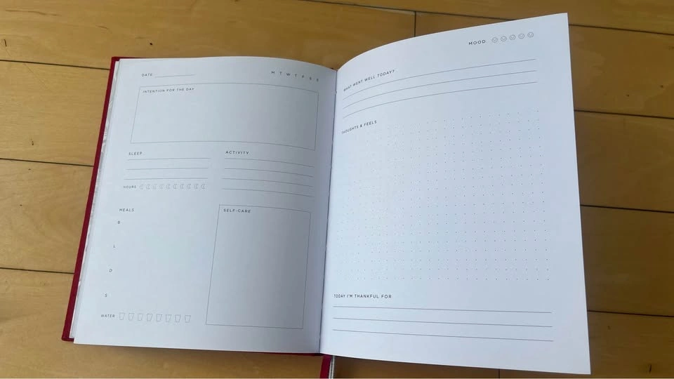 Brand New Red Velvet Wellness Journal - photo 3