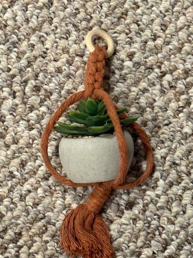 Macrame Hanging Succulent