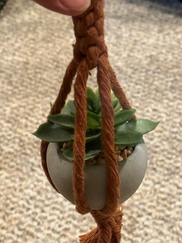Macrame Hanging Succulent - photo 2