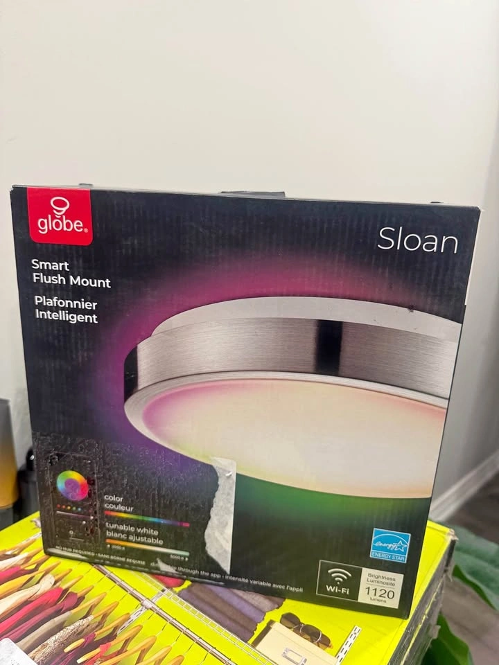 Globe Sloan Smart Flush Mount LED Light