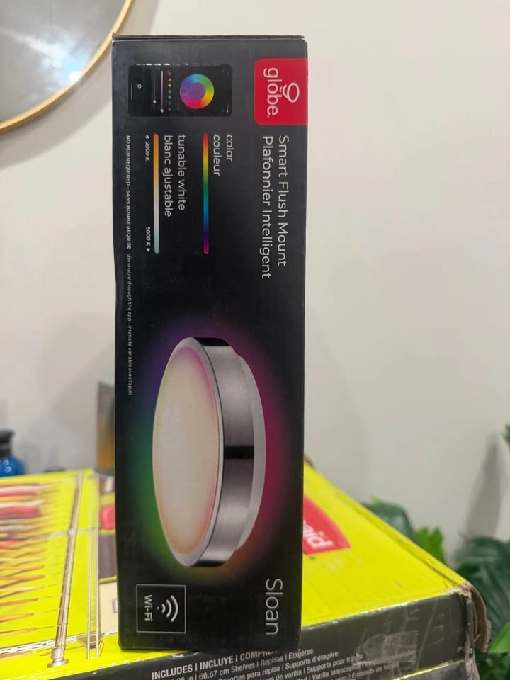 Globe Sloan Smart Flush Mount LED Light - photo 4