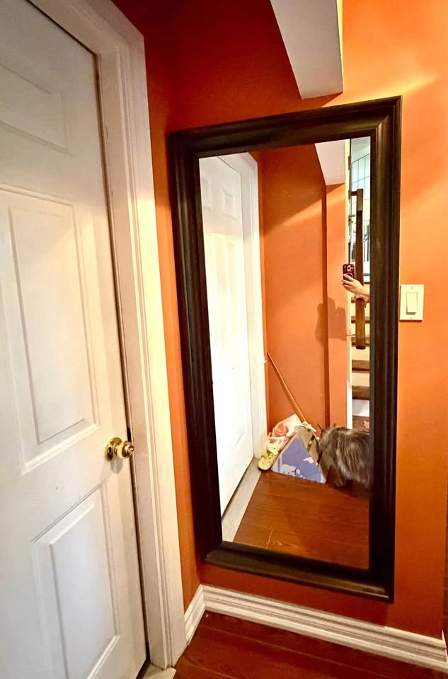 Large Black Framed Wall Mirror