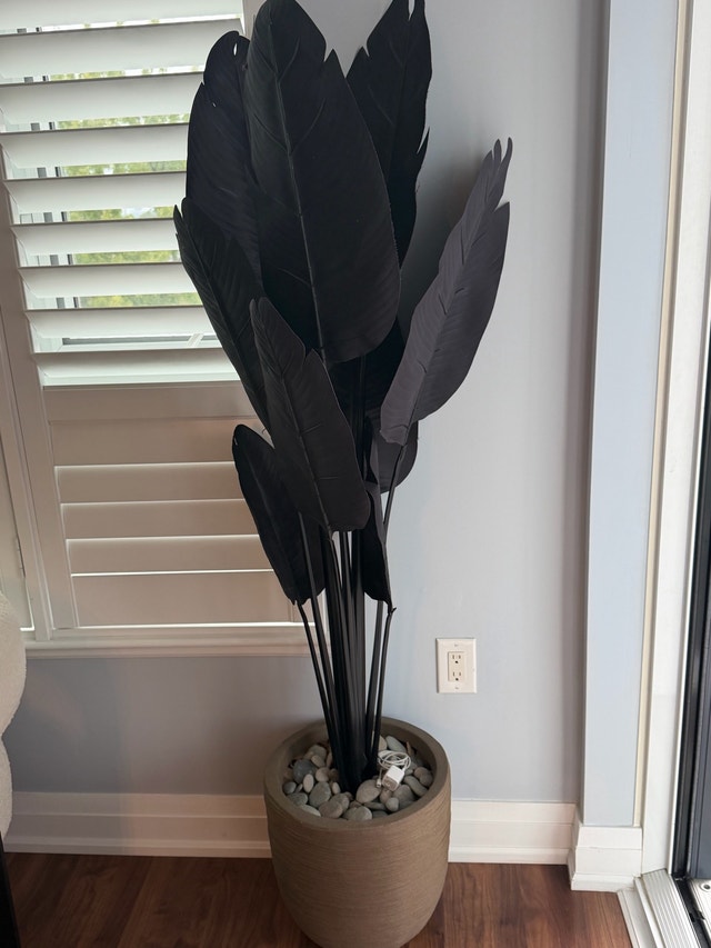 Large Artificial Black Plant with Planter
