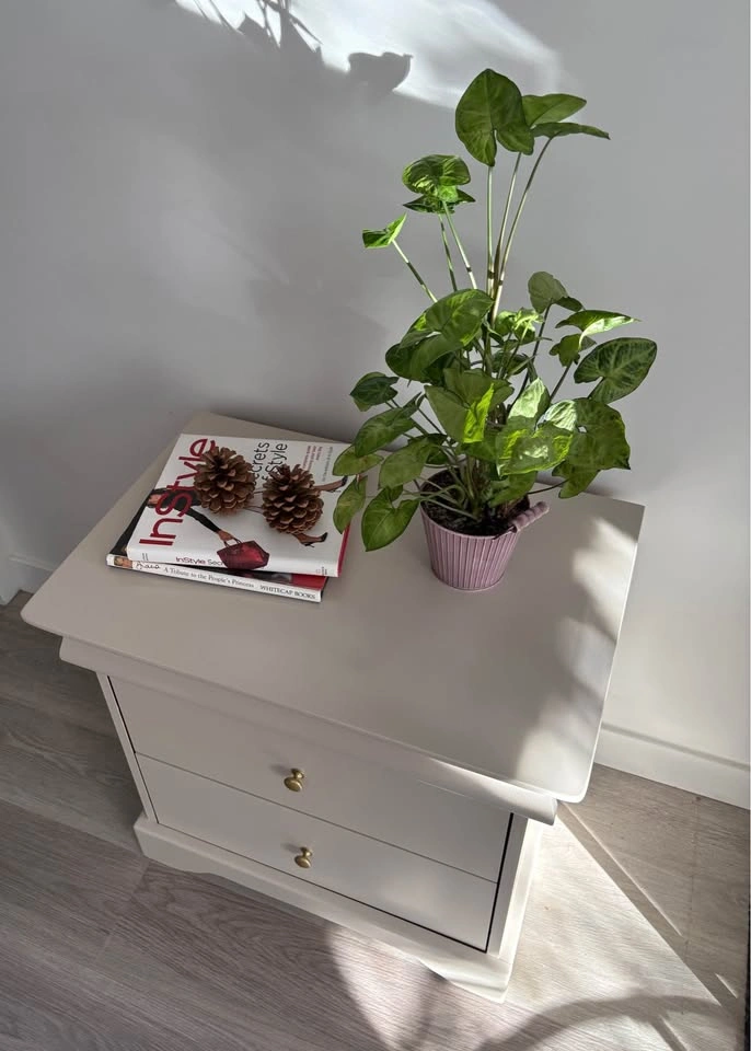 Refinished Huppé Nightstand – Solid Wood with Hidden Drawer - photo 5
