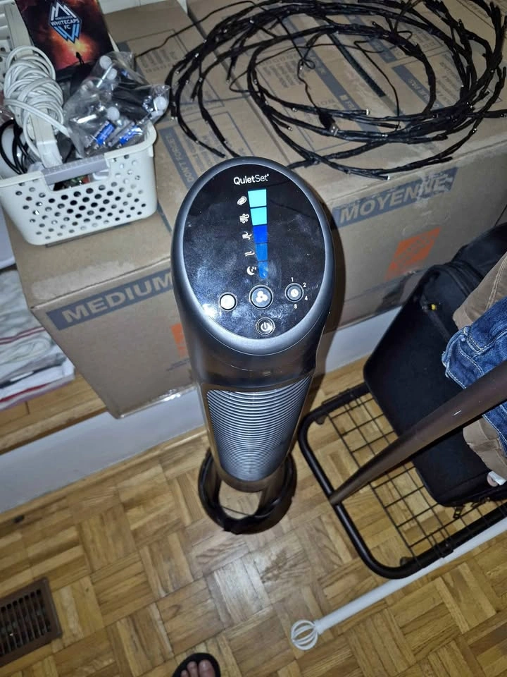Fan