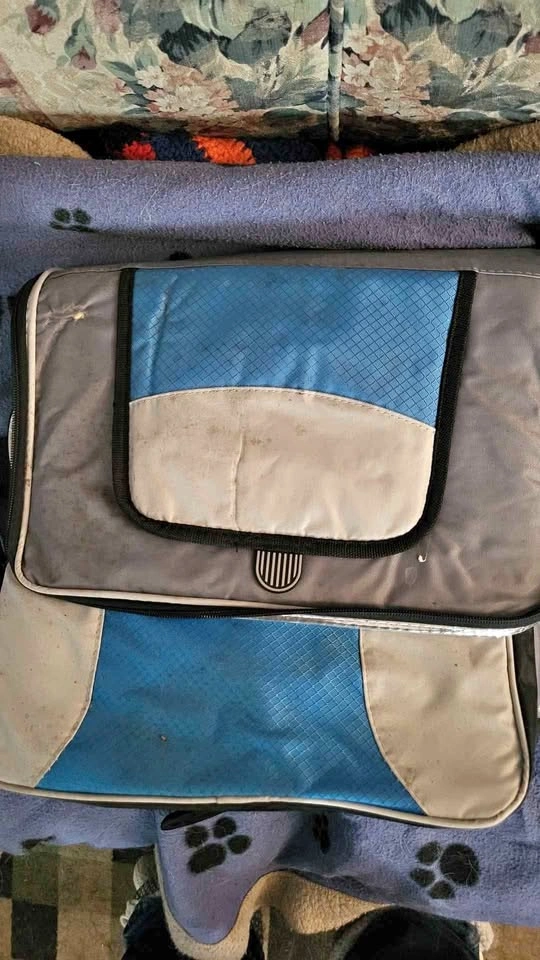 Insulated outbound pop can bag