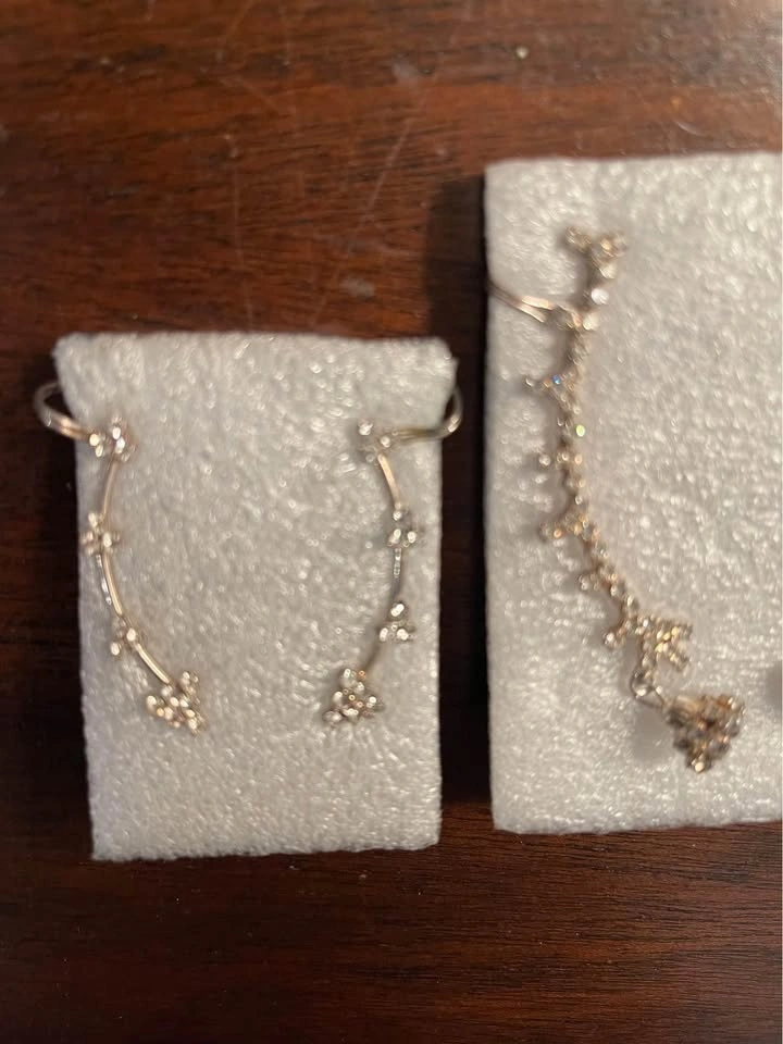 Full Ear Earrings - photo 2