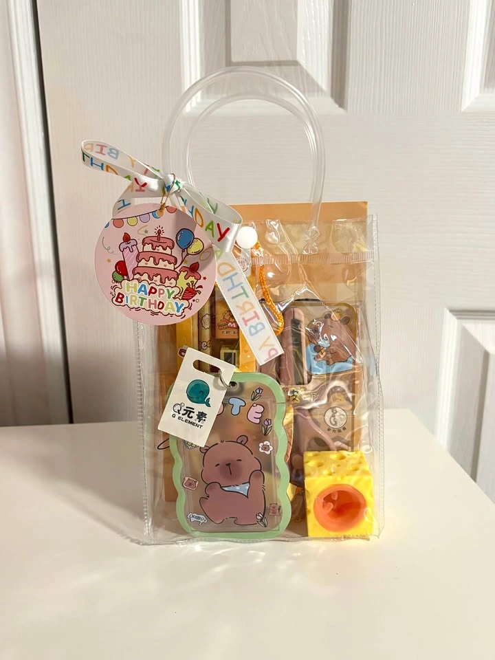 Capybara Stationery Gift Set