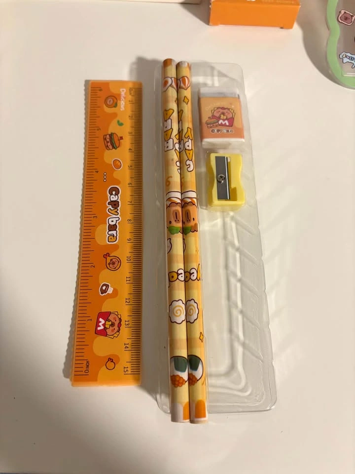 Capybara Stationery Gift Set - photo 3