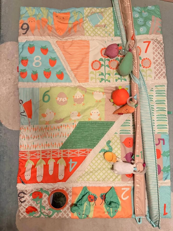 Skip Hop Baby Activity Gym Playmat – Farmstand Garden Theme