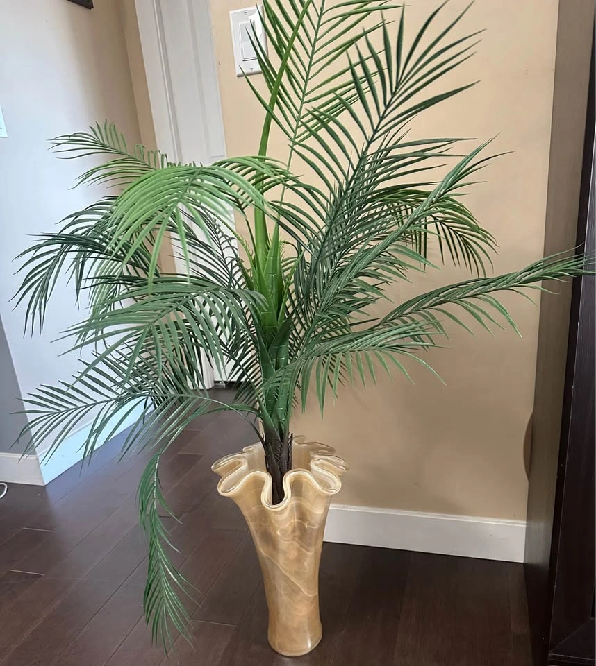 Plant decor - photo 2