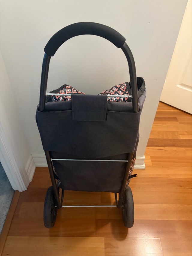 Rolling Shopping Cart - photo 2