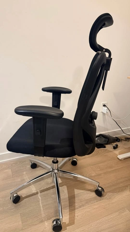 SIHOO M18 Ergonomic Office Chair – Adjustable Lumbar Support - photo 3