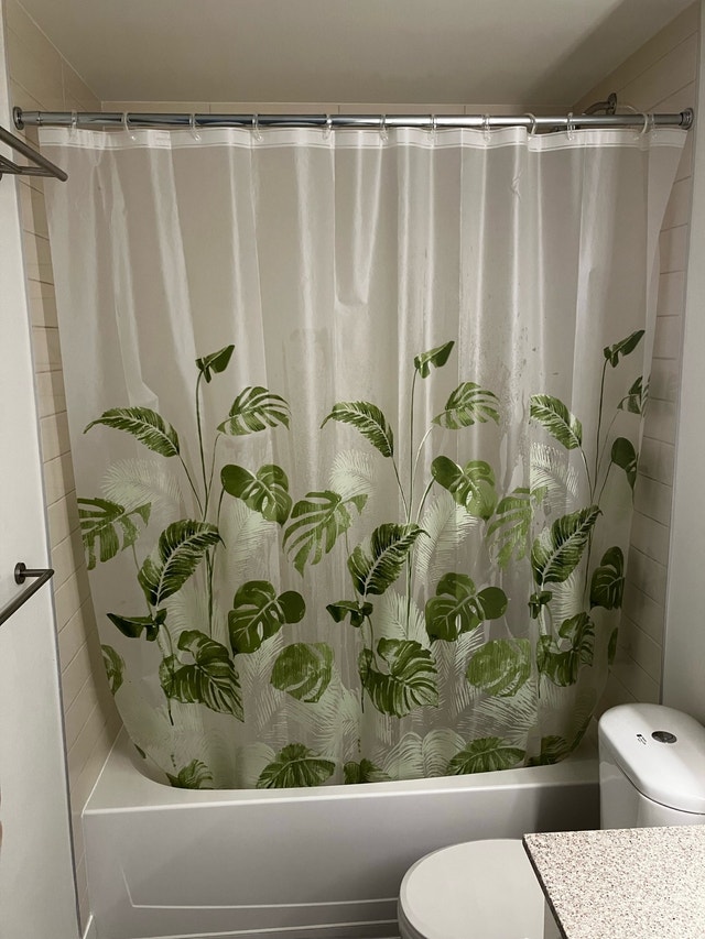 Shower Curtain with Rings