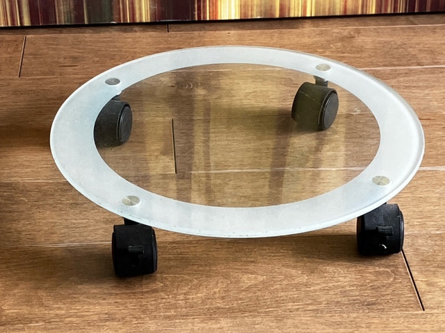 Plant caddy on casters