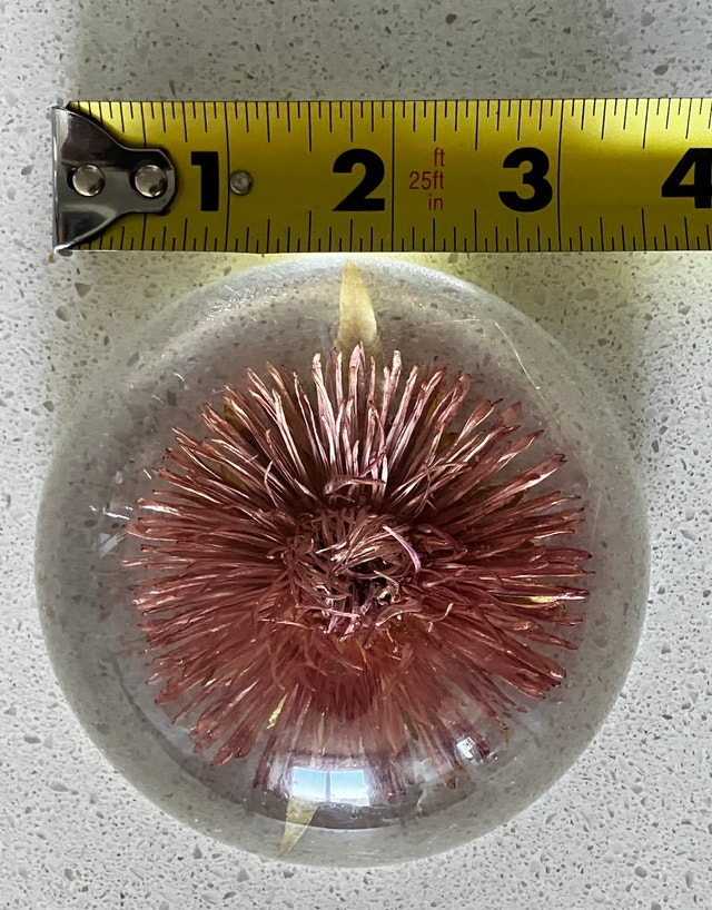 Acrylic Paperweight - photo 3