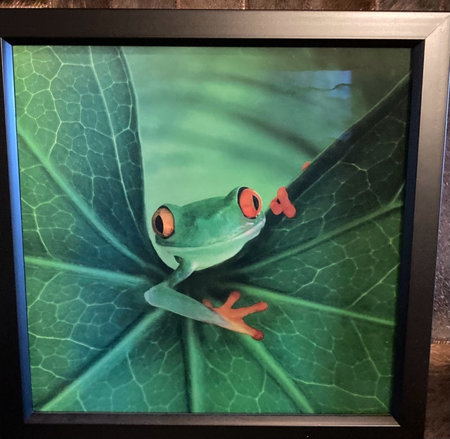 Hologram of frog in frame