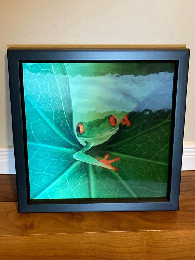 Hologram of frog in frame - photo 2