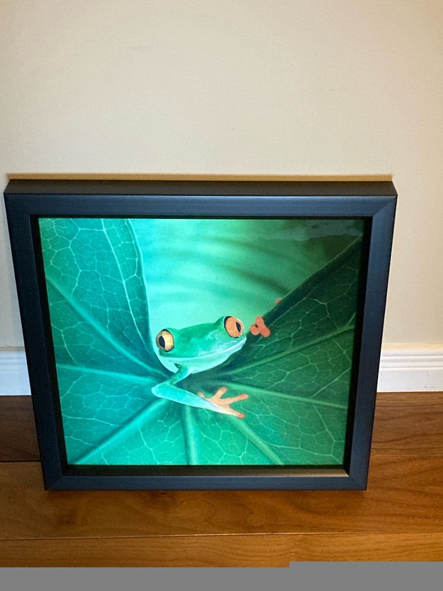 Hologram of frog in frame - photo 3