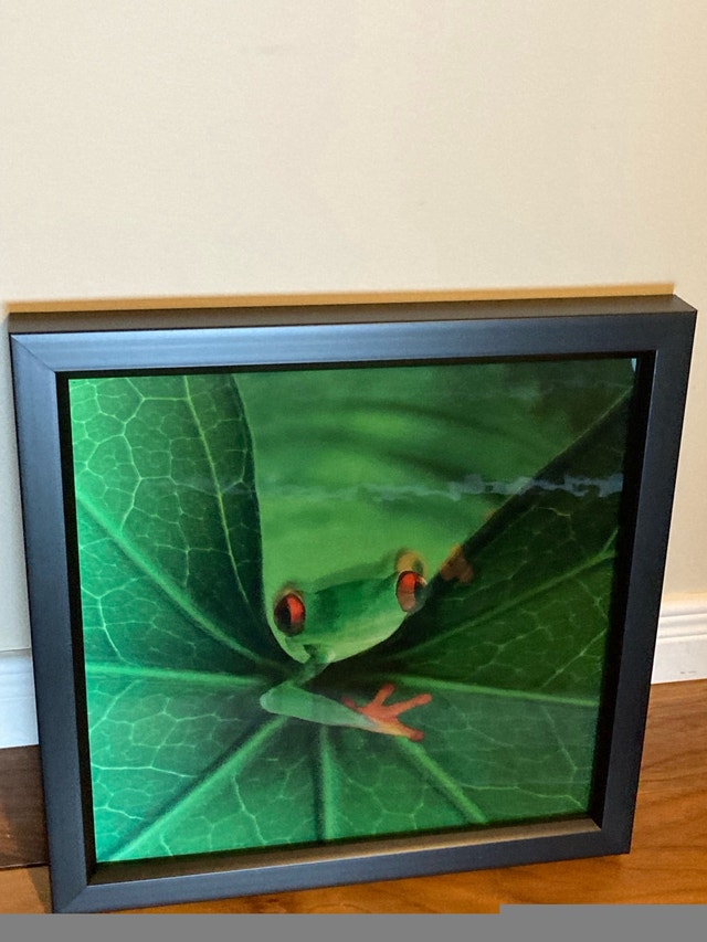 Hologram of frog in frame - photo 4