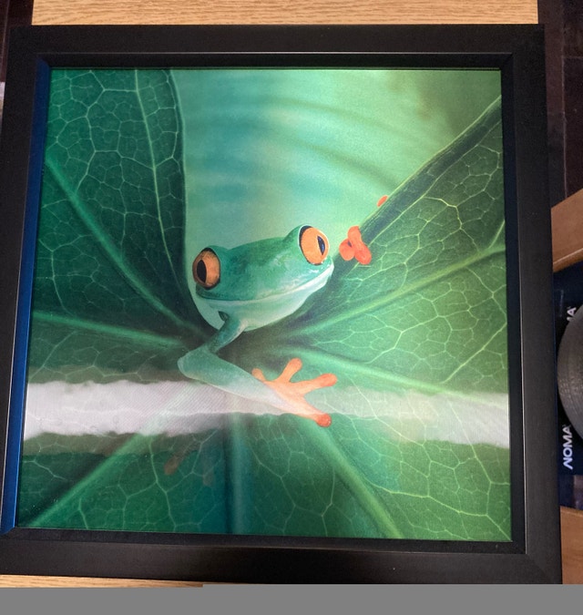 Hologram of frog in frame - photo 5