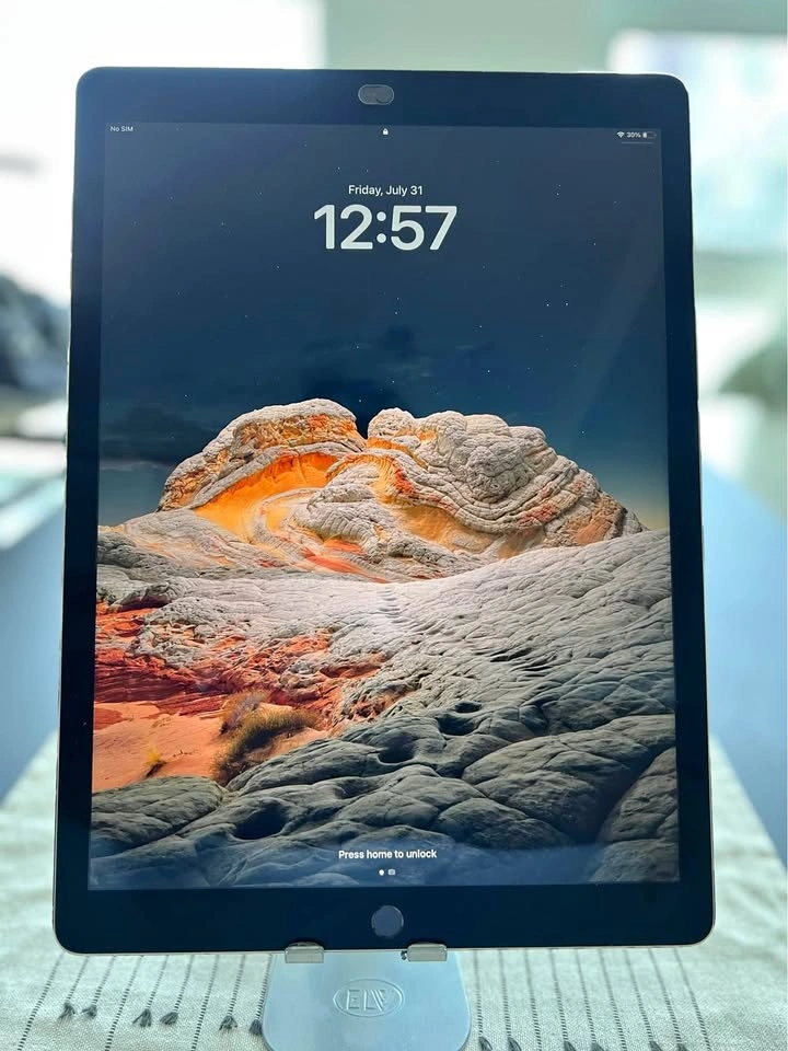 Apple iPad Pro 12.9-inch 2015 Model 256 GB With Cover