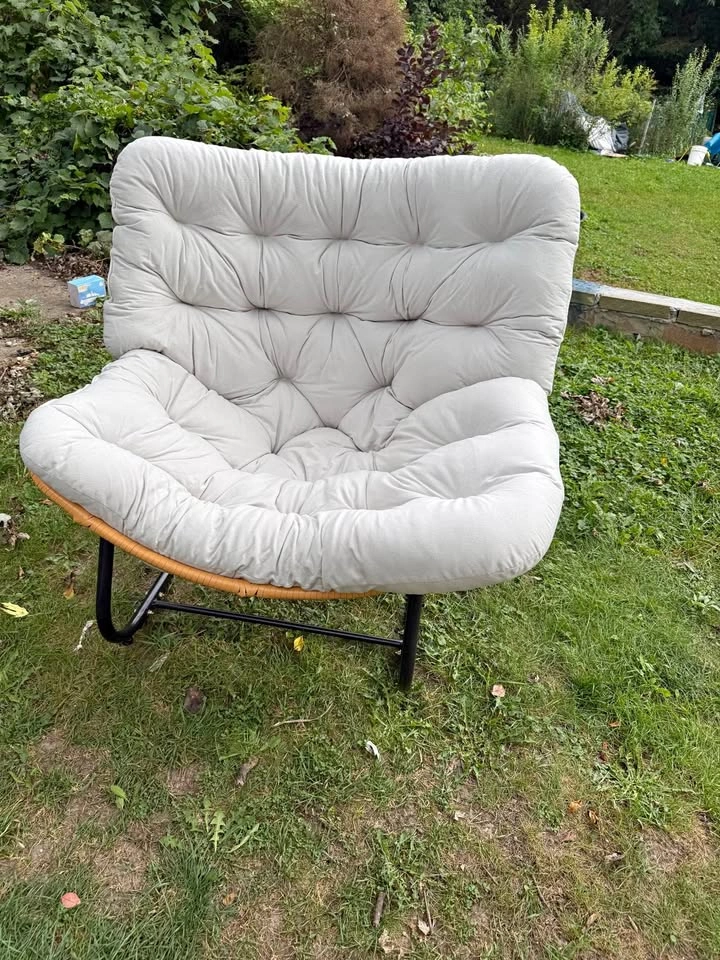 Indoor Outdoor Egg Freestyle Chair with Cushion and Frame