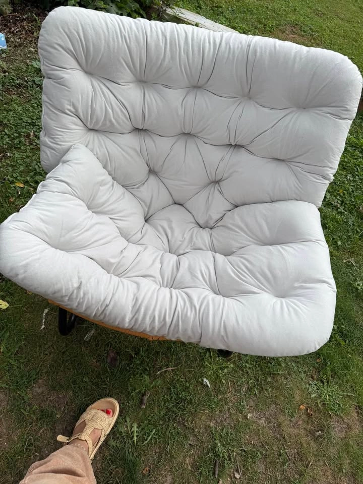 Indoor Outdoor Egg Freestyle Chair with Cushion and Frame - photo 5