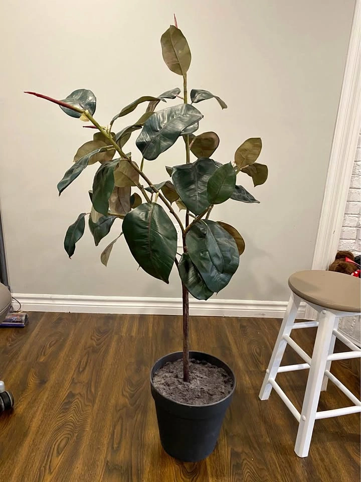 Artificial Plant - rubber tree