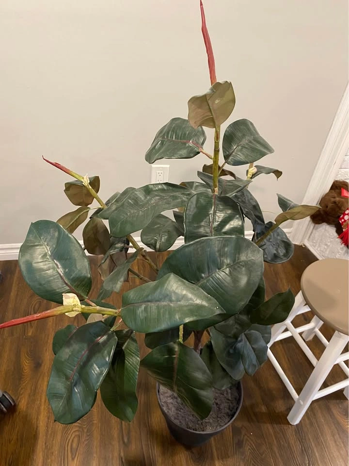 Artificial Plant - rubber tree - photo 2