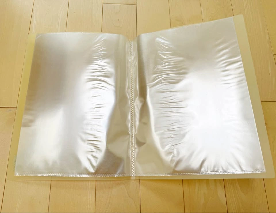 BRAND NEW Clear Pocket Booklet (10 Sheets) - photo 3