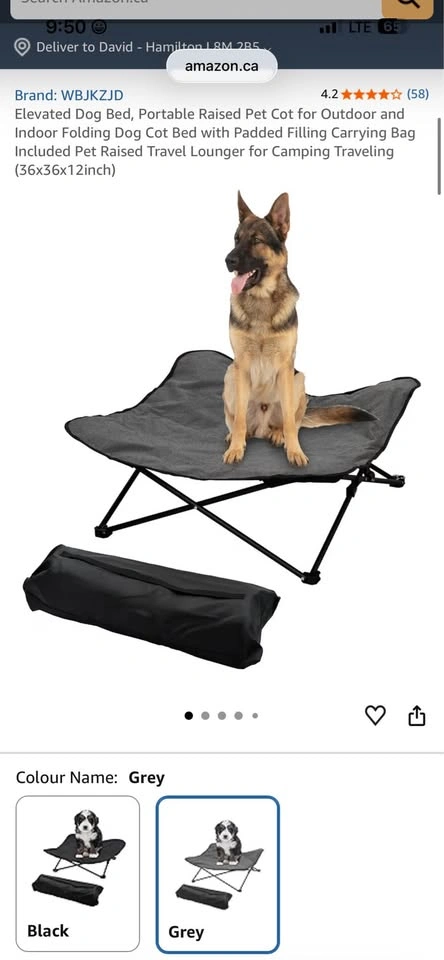 Elevated Dog Bed, Portable Raised Pet Cot, New - photo 2