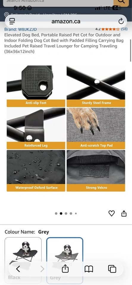 Elevated Dog Bed, Portable Raised Pet Cot, New - photo 3