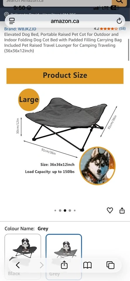 Elevated Dog Bed, Portable Raised Pet Cot, New - photo 4