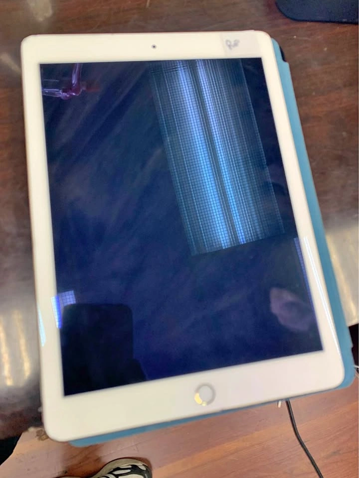 iPad Air 2