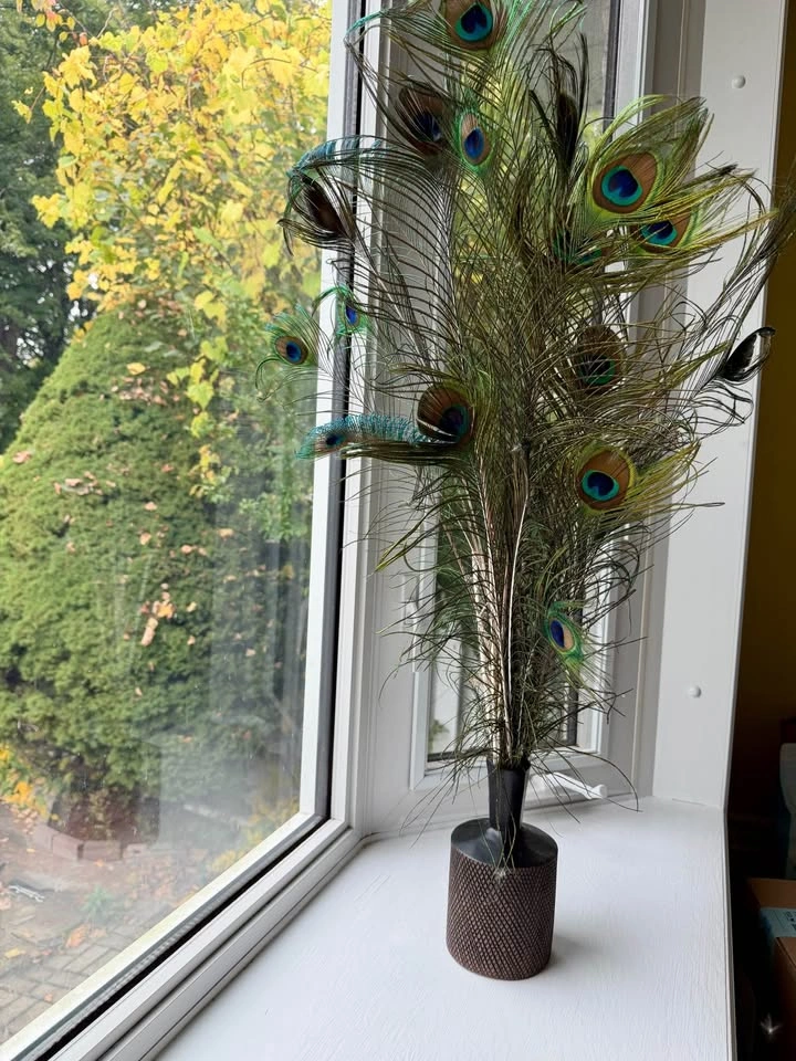 Real Peacock Feathers with Decorative Vase - photo 2