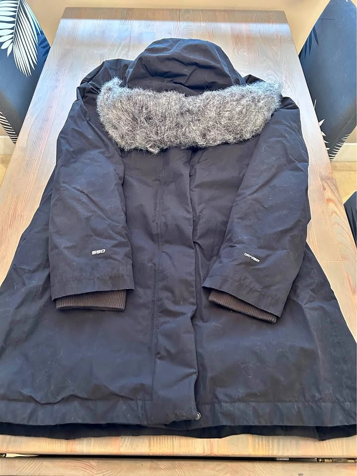 North Face Winter Parka