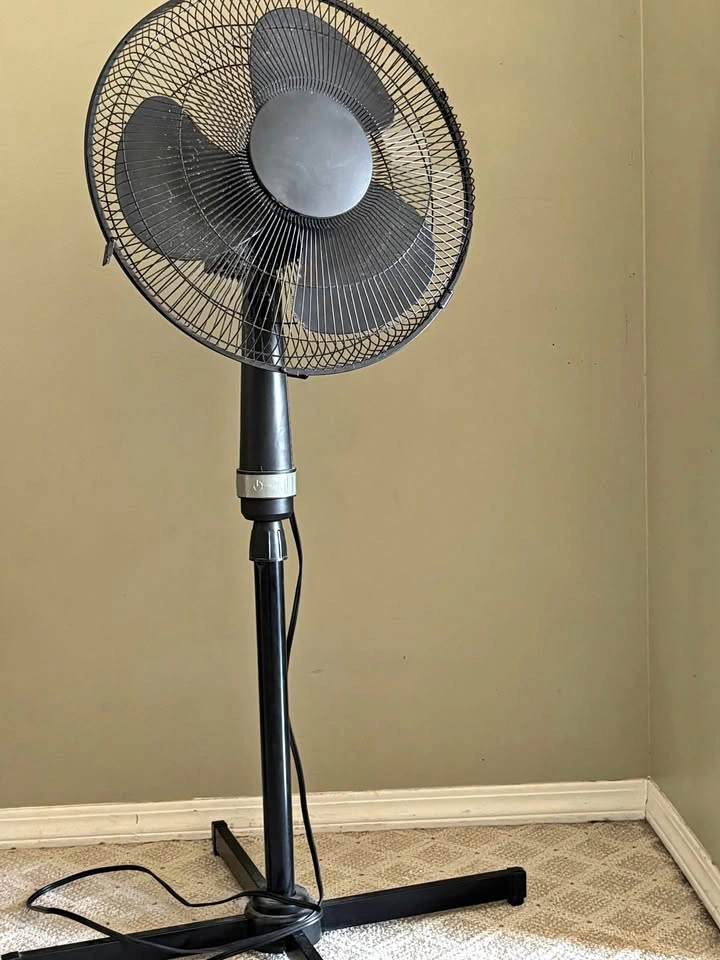 Fan