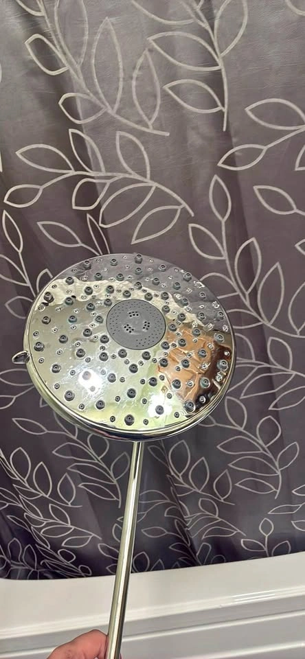 8" Chrome Shower Head with Adjustable Extension Arm