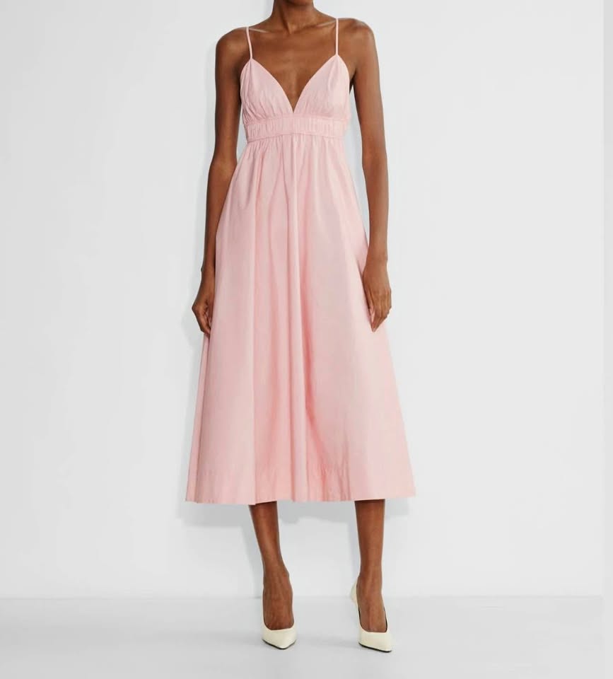 Babaton Encourage poplin dress