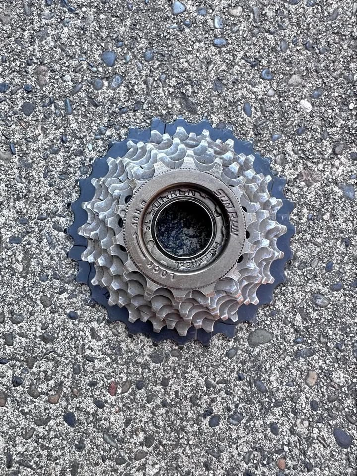 Bicycle Freewheel