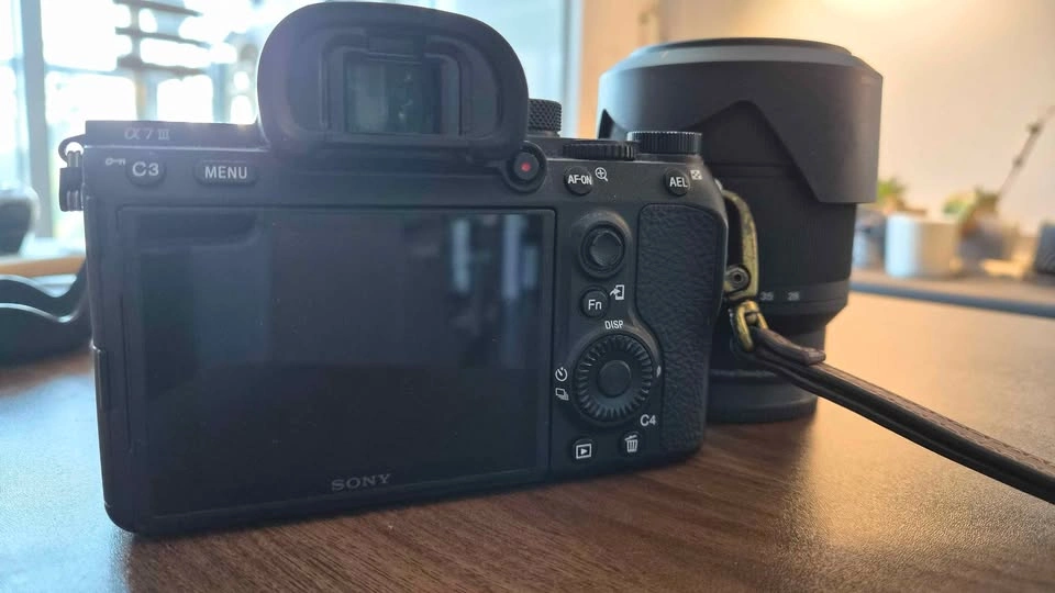 Sony A7III + 28mm F2 + 28-70 F3.5-5.6 - photo 4