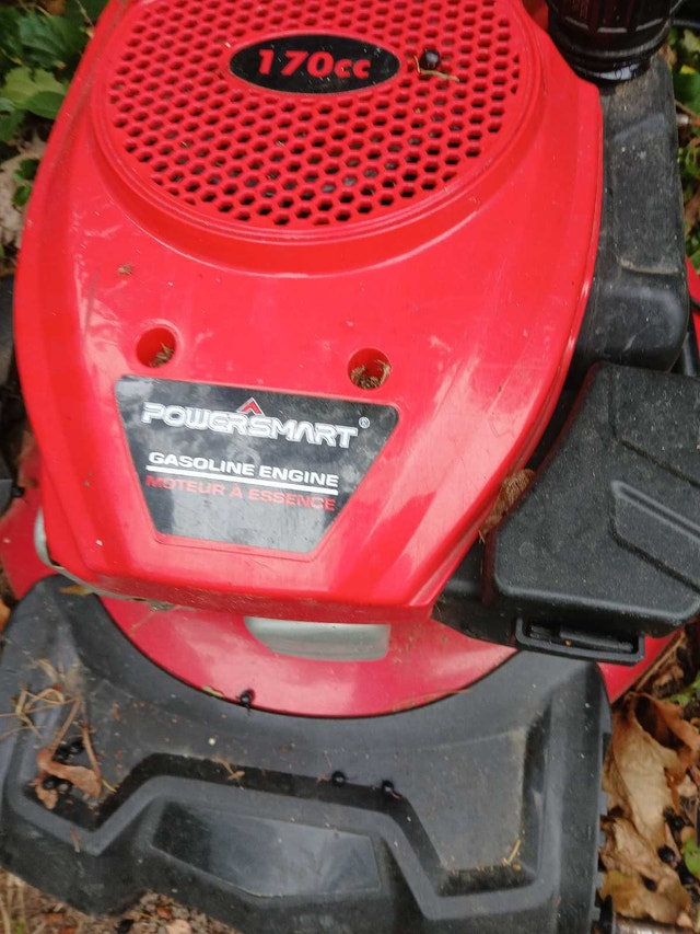 lawnmower engine (working)