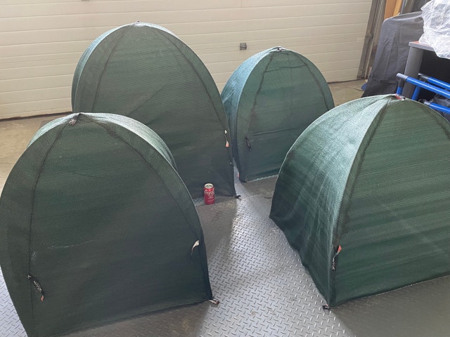 4 Plant Cover