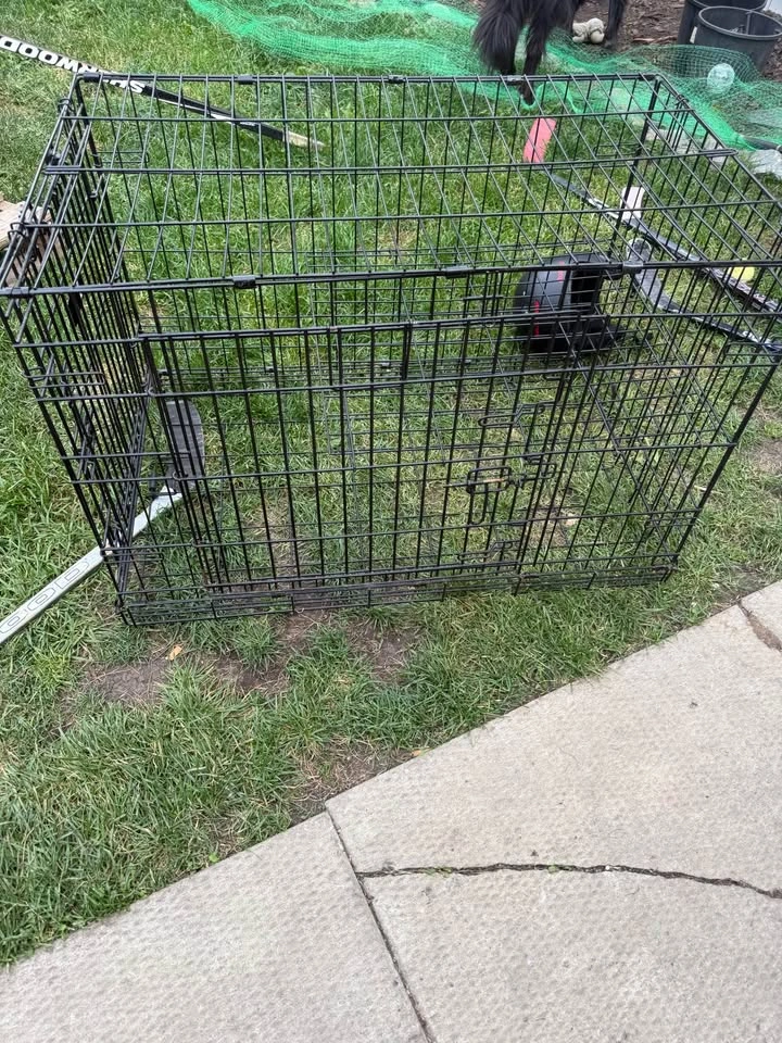 Kong dog crate - photo 2