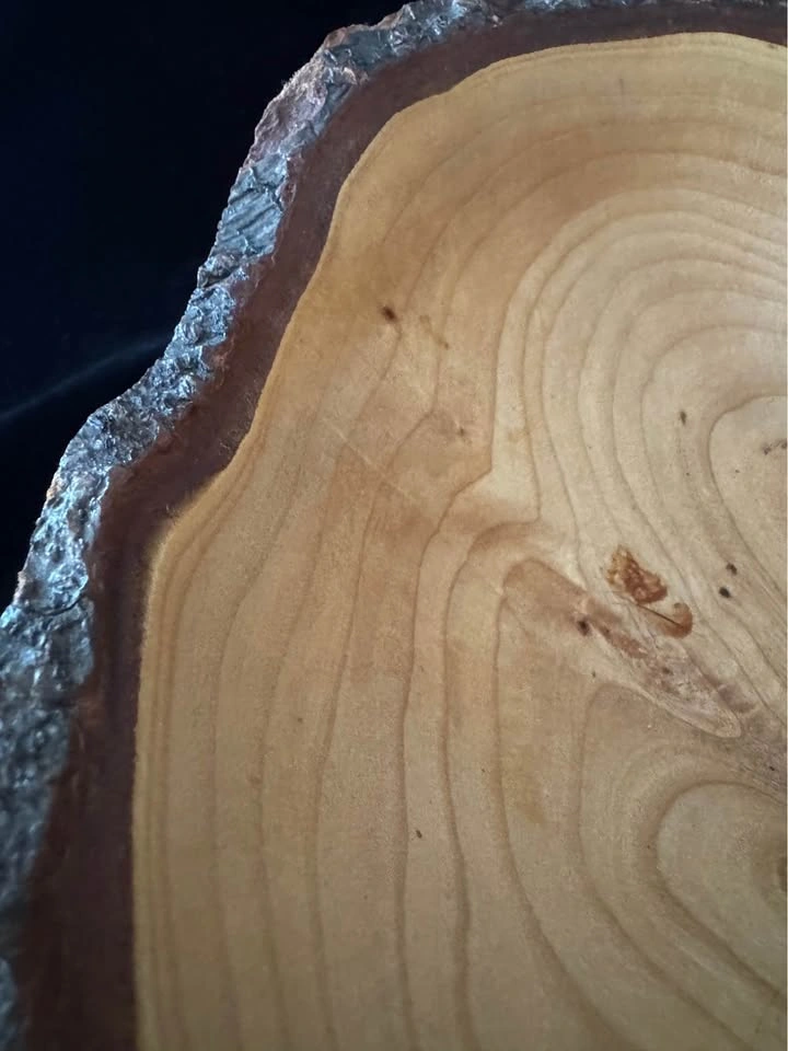 Hand-Turned Live Edge Wooden Bowl – 7.5" Natural Bark Rim - photo 3