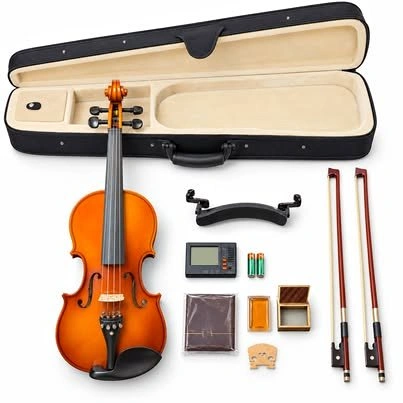Cecilio 4/4 Full-Size Violin Outfit with Case and Accessories