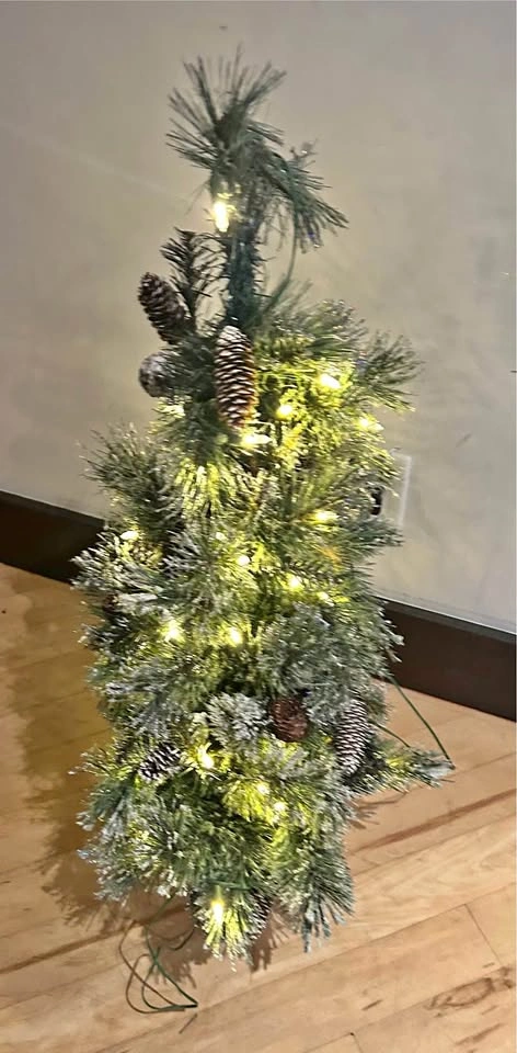 Pre-lit Flocked 3ft Christmas Tree with Pinecones in planter
