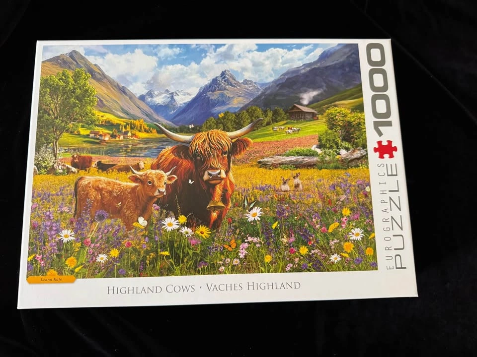 1000-Piece Jigsaw Puzzles - Eurographics & Clementoni Lot of 3 - photo 3